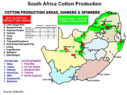 images\SF\cropprod\SouthAfrica_Cotton_preview.png